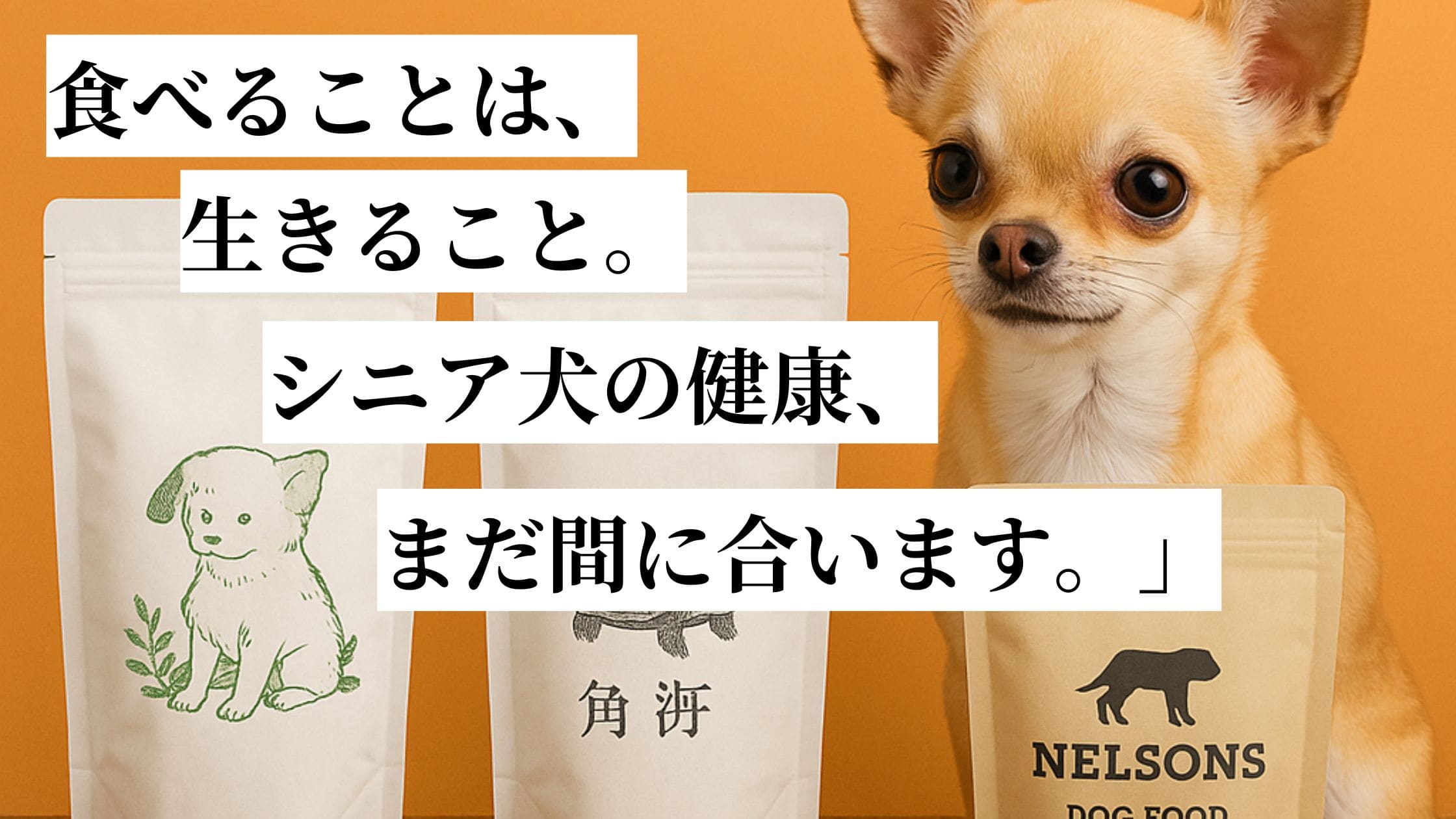 ドッグフード