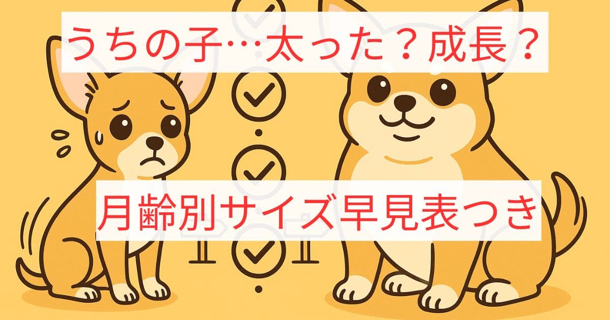 チワワ どんどん 大きくなる