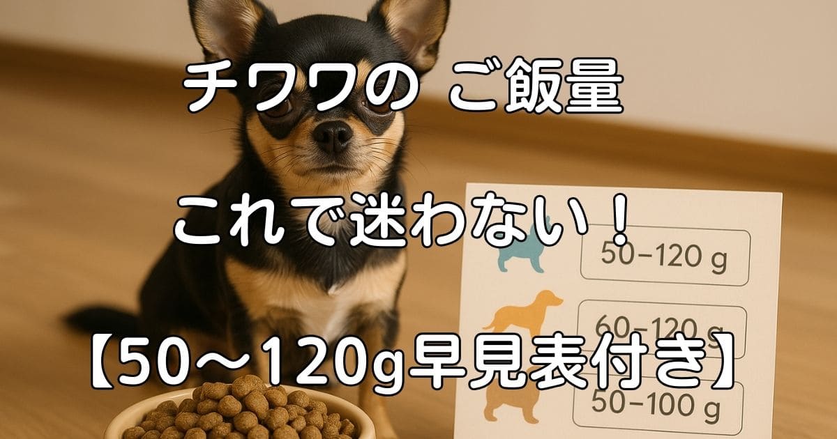 チワワ 餌の量 何グラム
