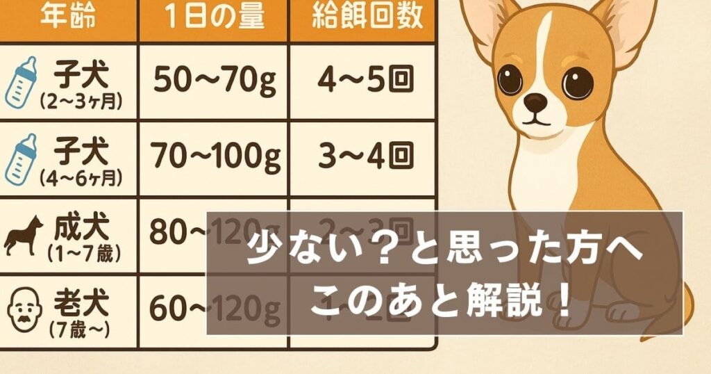 チワワ 餌の量 何グラム
