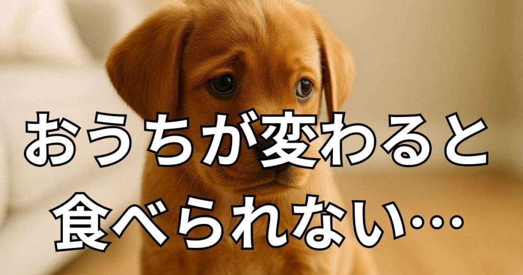 子犬 ご飯 食べない 2ヶ月