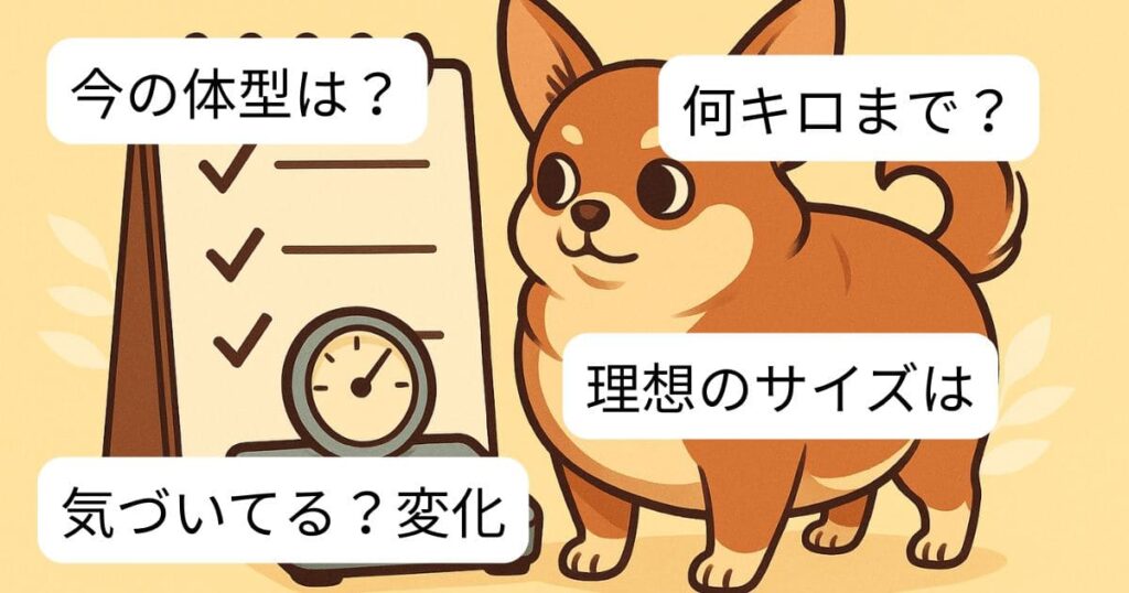 チワワ どんどん 大きくなる　理想の画像