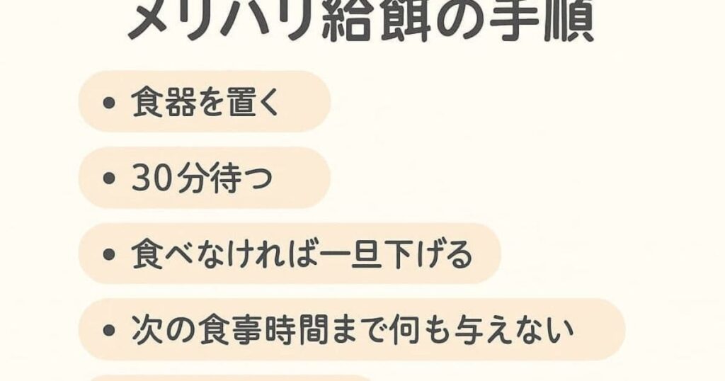 子犬 ご飯 食べない 2ヶ月