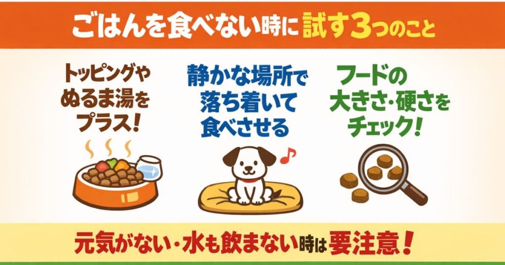犬がごはんを食べないときに試す3つの工夫をまとめた図解