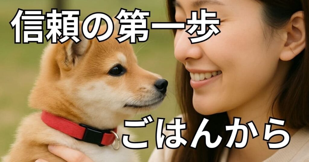 子犬 ご飯 食べない 2ヶ月
