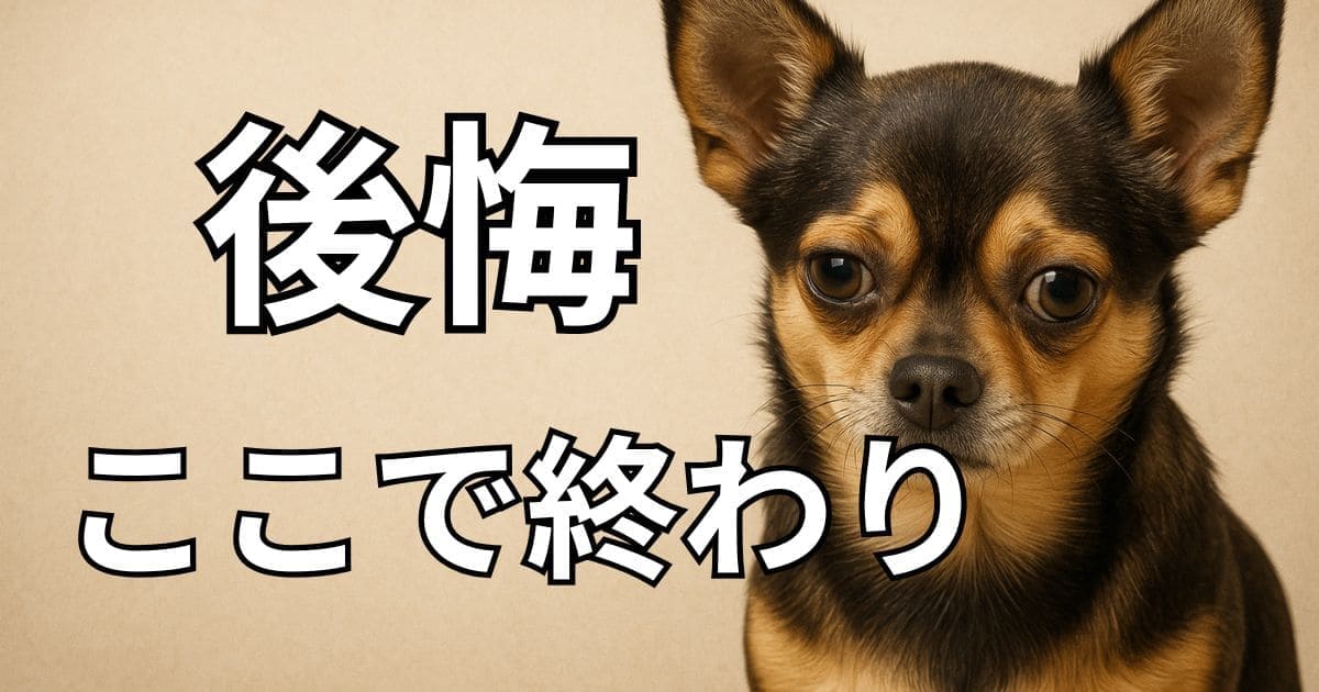 チワワ 飼うんじゃなかった