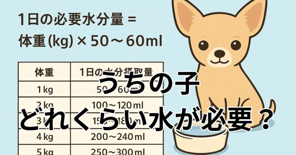 小型 犬 一日の水の量の表