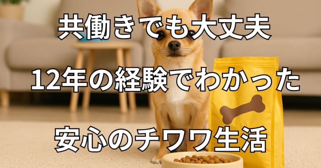 チワワ 飼い 方 共働き