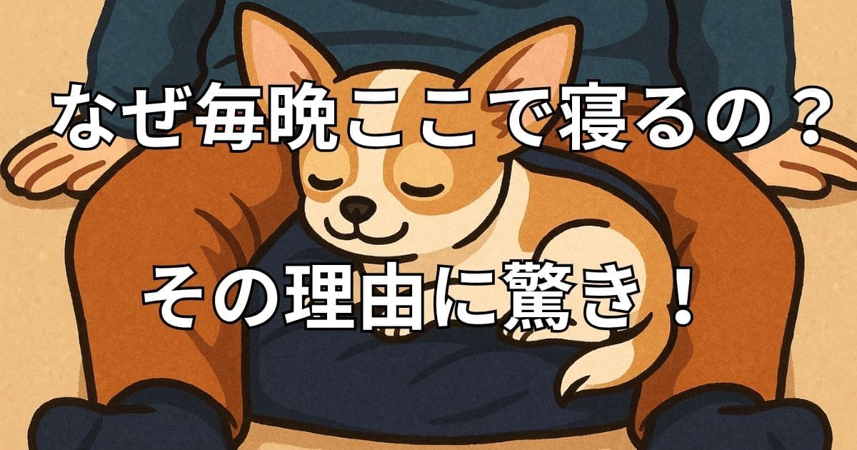 犬 股のあいだで寝る