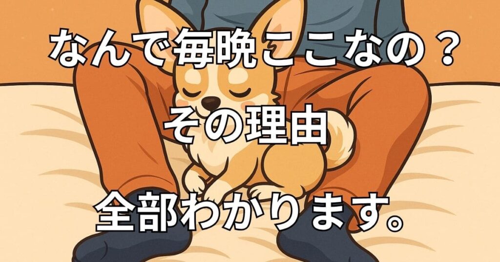 犬 股のあいだで寝る