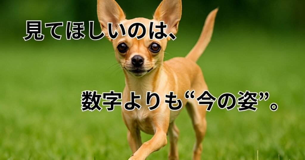 チワワ ハイオンタイプ 体重