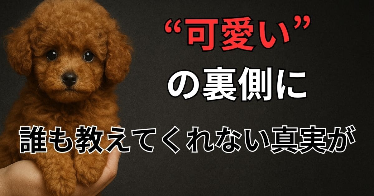 ティーカッププードル 闇