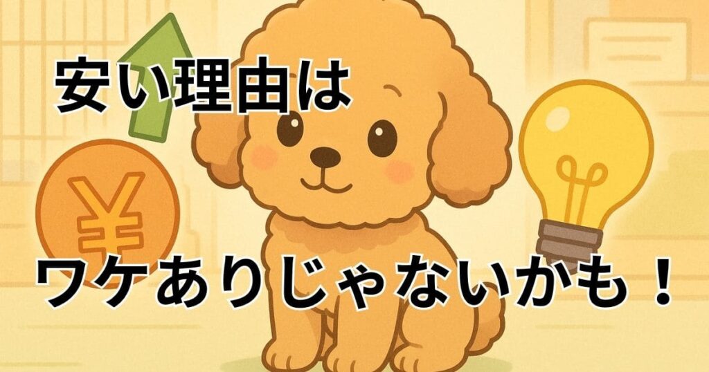 ティーカッププードル 売れ残り