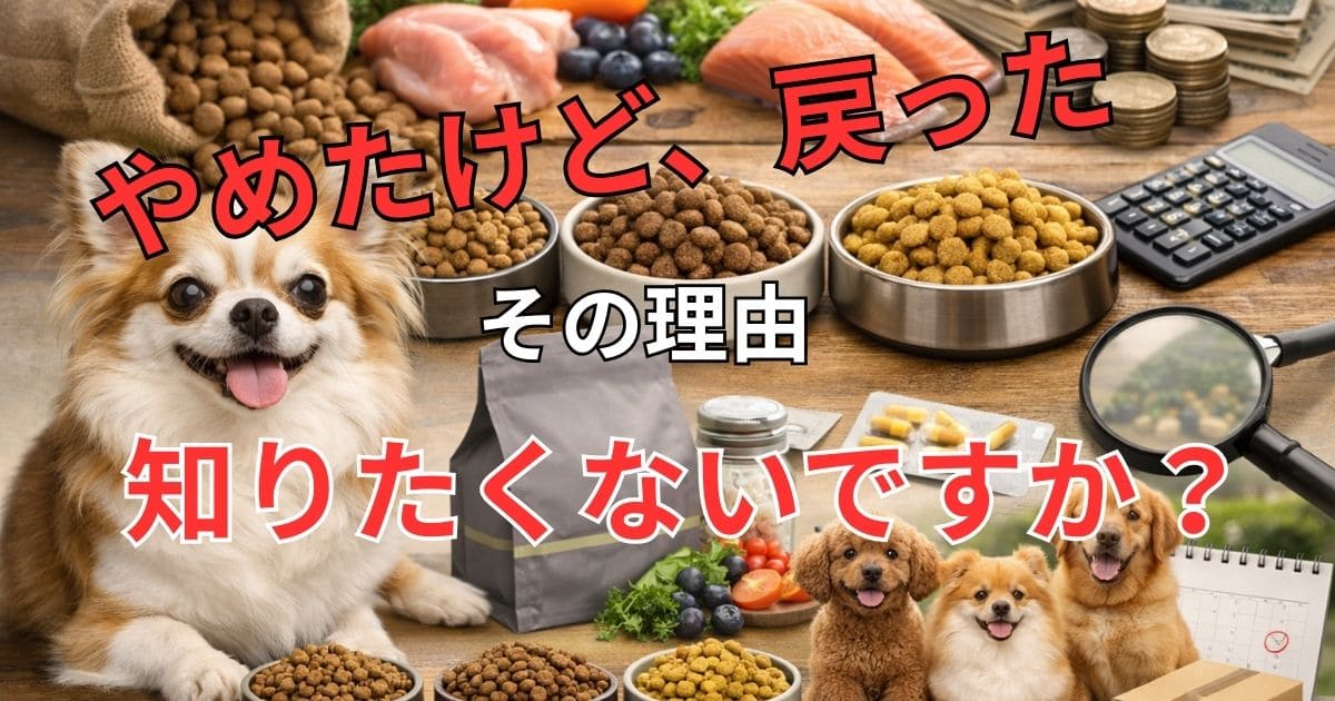チワワとドッグフードの比較を表現したアイキャッチ画像。