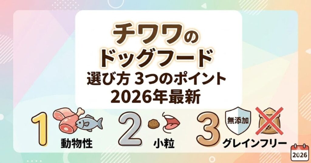 2026年最新。チワワのドッグフード選び3つのポイントを図解。1.動物性、2.小粒、3.無添加・グレインフリー。
