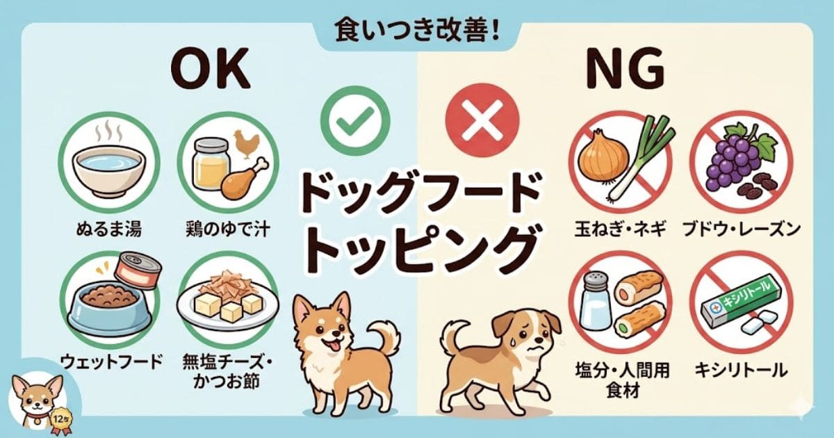 ドッグフードトッピングのOK・NG食材比較図解