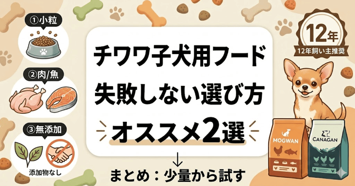「チワワ子犬用フードの選び方図解」