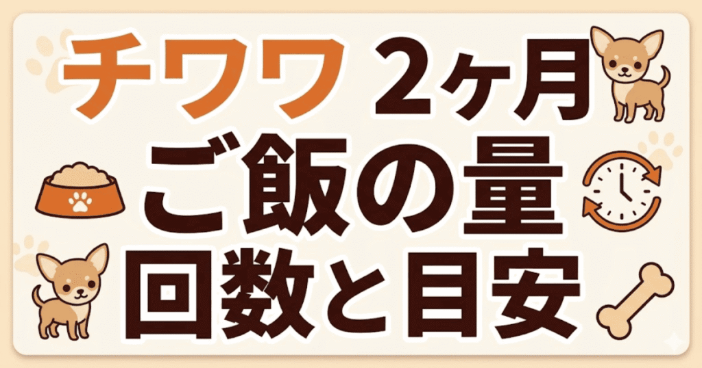 チワワ2ヶ月のご飯の量・回数・目安