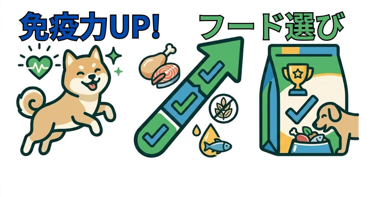 免疫力アップ！フード選び」をテーマにしたインフォグラフィックのイラスト。元気な柴犬と、フード選びのポイント（動物性タンパク質、グレインフリー、オメガ3など）を解説しています。