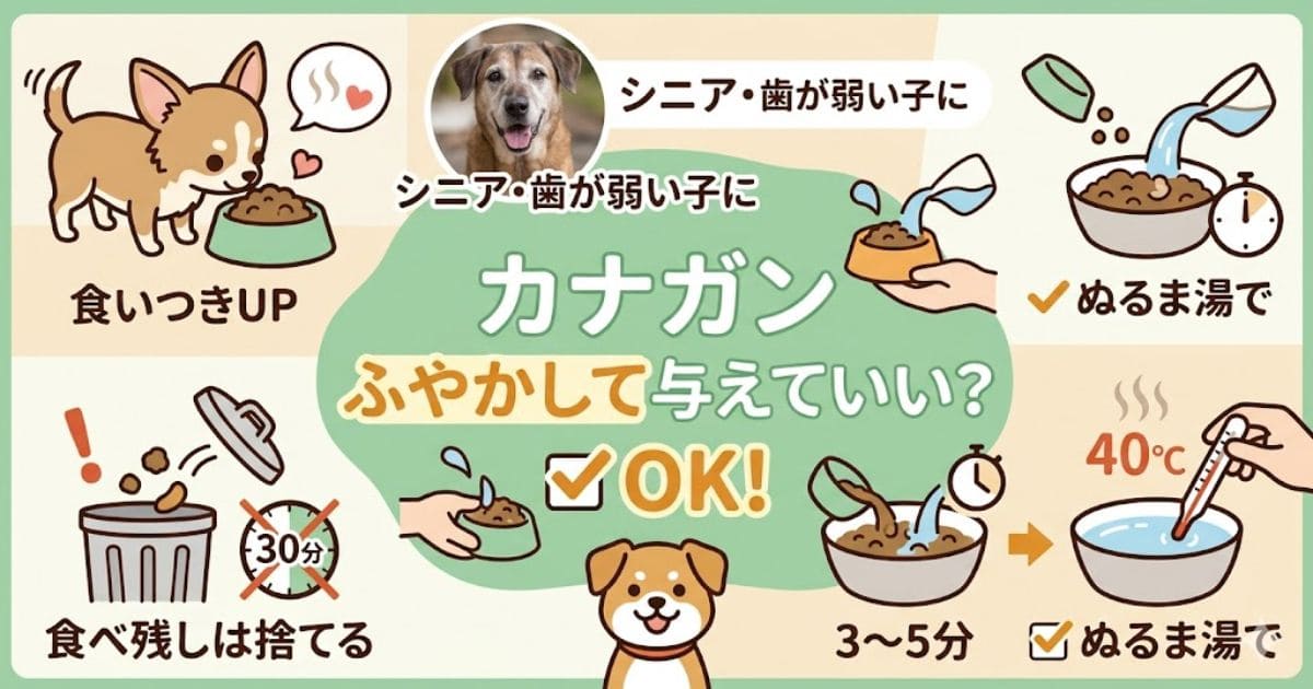 カナガンふやかしてOK？手順と注意点