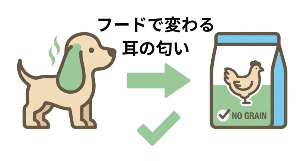 匂いを発する犬の耳から、ドッグフーど　を指す矢印の図解