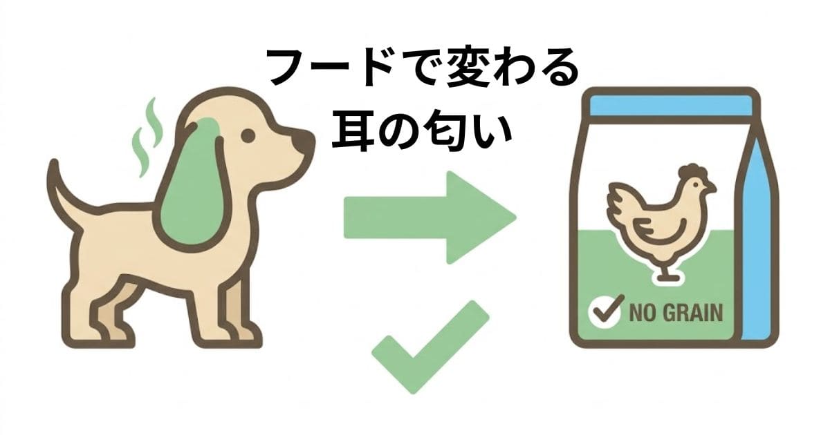 匂いを発する犬の耳から、ドッグフーど　を指す矢印の図解