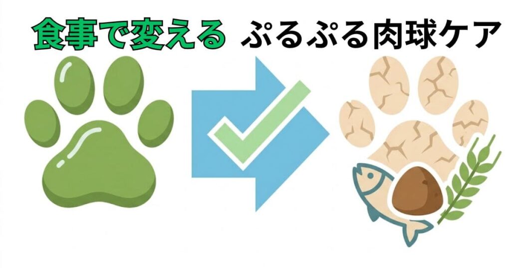 フードで変わる肉球の状態：魚の油で潤い、穀物中心で乾燥