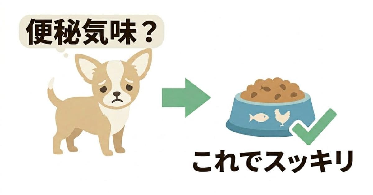 便秘気味の犬がドッグフードと矢印によって快便になるイメージ画像。