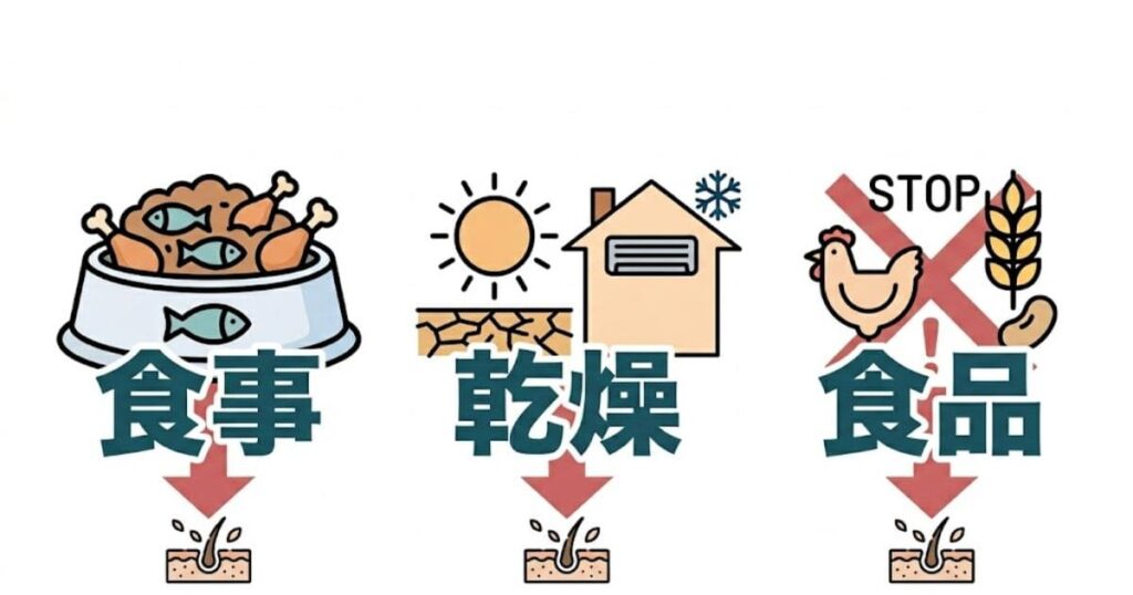 犬のフケ原因3つのイラスト。