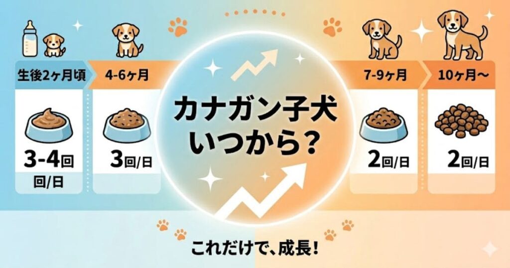 カナガン子犬用いつから？月齢別回数図解
