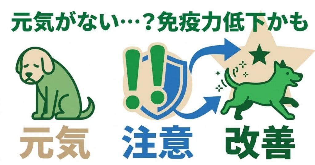 免疫力低下から改善への流れを示すインフォグラフィック