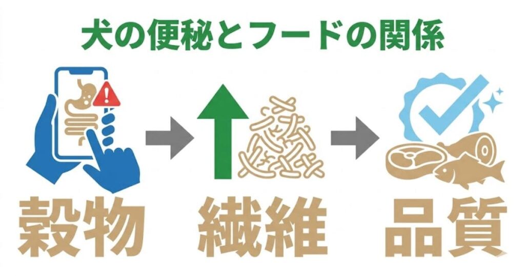 犬の便秘とフードの関係を図解したインフォグラフィック。左から右へ「穀物」(消化管トラブル)、「繊維」(摂取量増加)、「品質」(肉・魚)のアイコンと文字が並んでいます。
