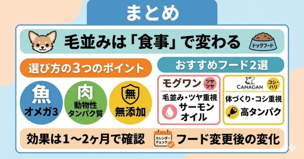 チワワの毛並み改善ドッグフードのまとめ図解
