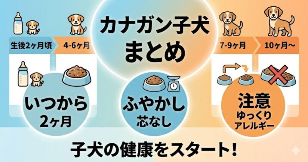 カナガン子犬用まとめ図解（いつから・ふやかし・注意）