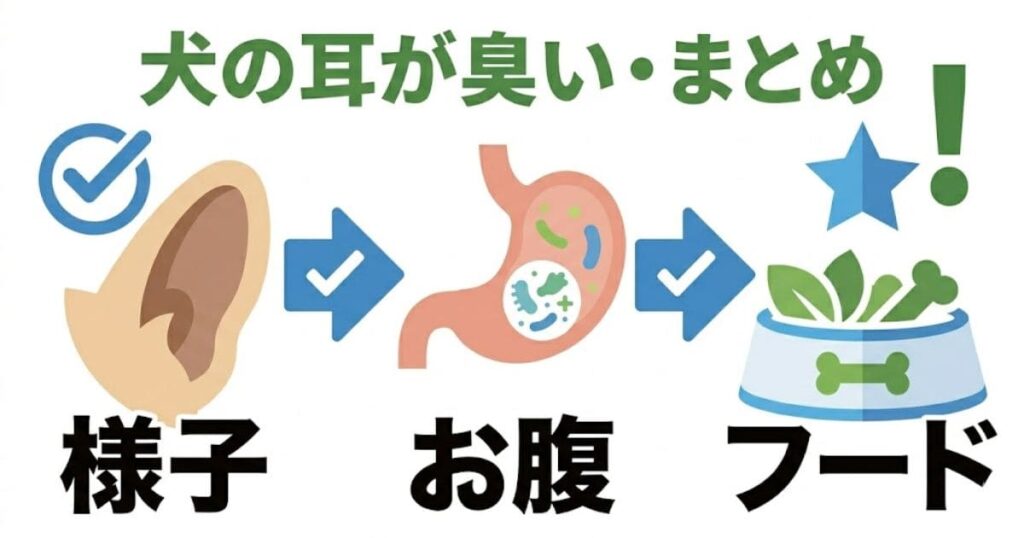 「犬の耳が臭い・まとめ」をテーマに、左から耳（様子）、お腹、フードボウルへと巨大なアイコンと文字で繋いだインフォグラフィック。