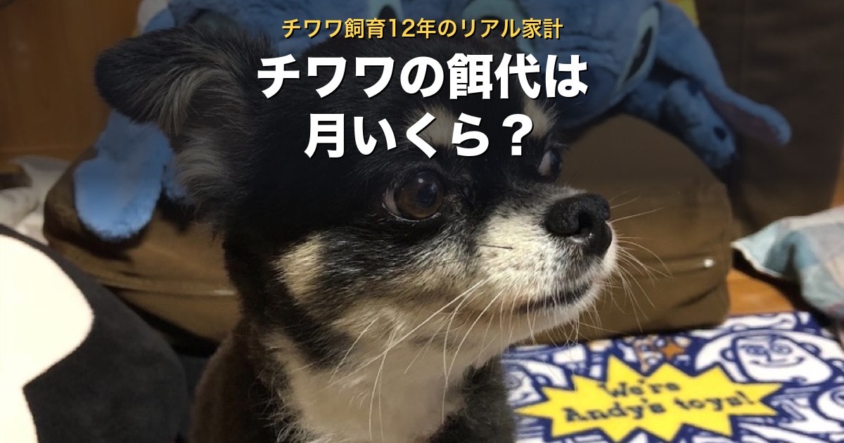 チワワの餌代は月いくらか。チワワ飼育12年のリアルな家計
