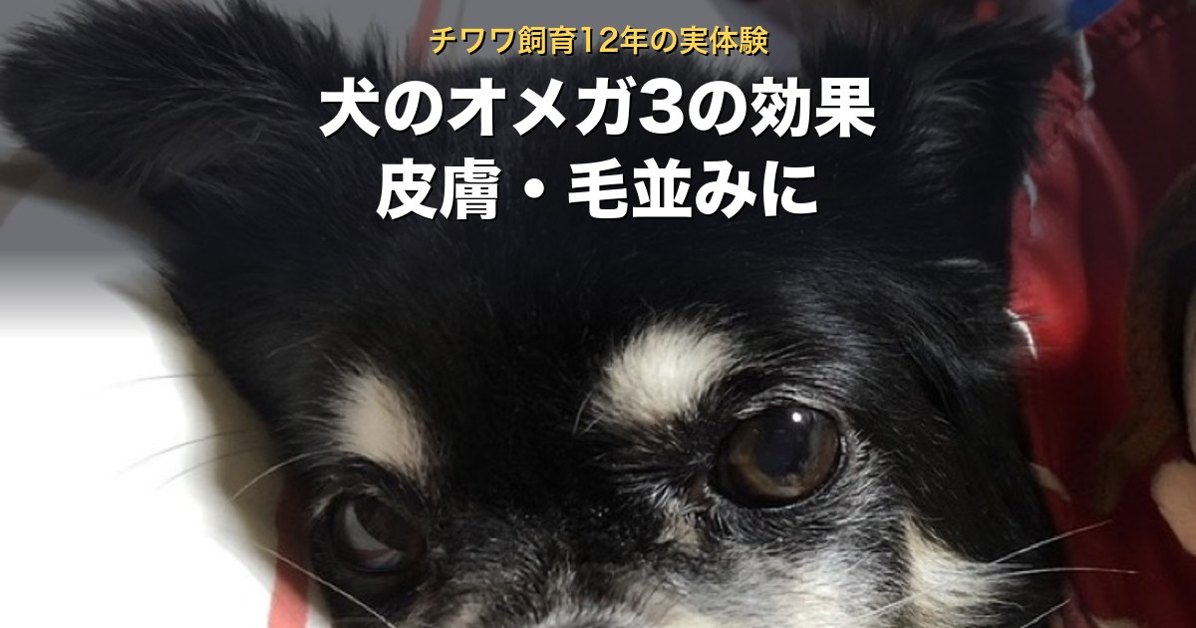 犬のオメガ3ドッグフードの皮膚・毛並みへの効果。12年の実体験