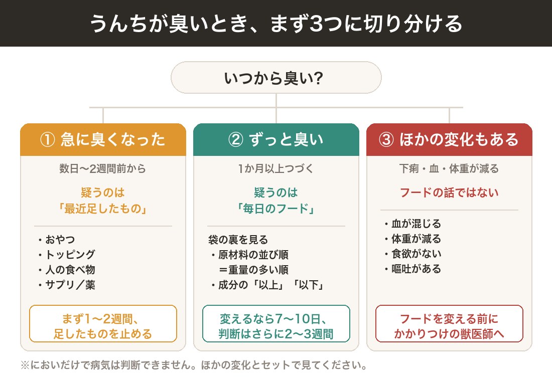 犬のうんちが臭いときの切り分け図|急に臭い・ずっと臭い・ほかの症状がある の3パターン